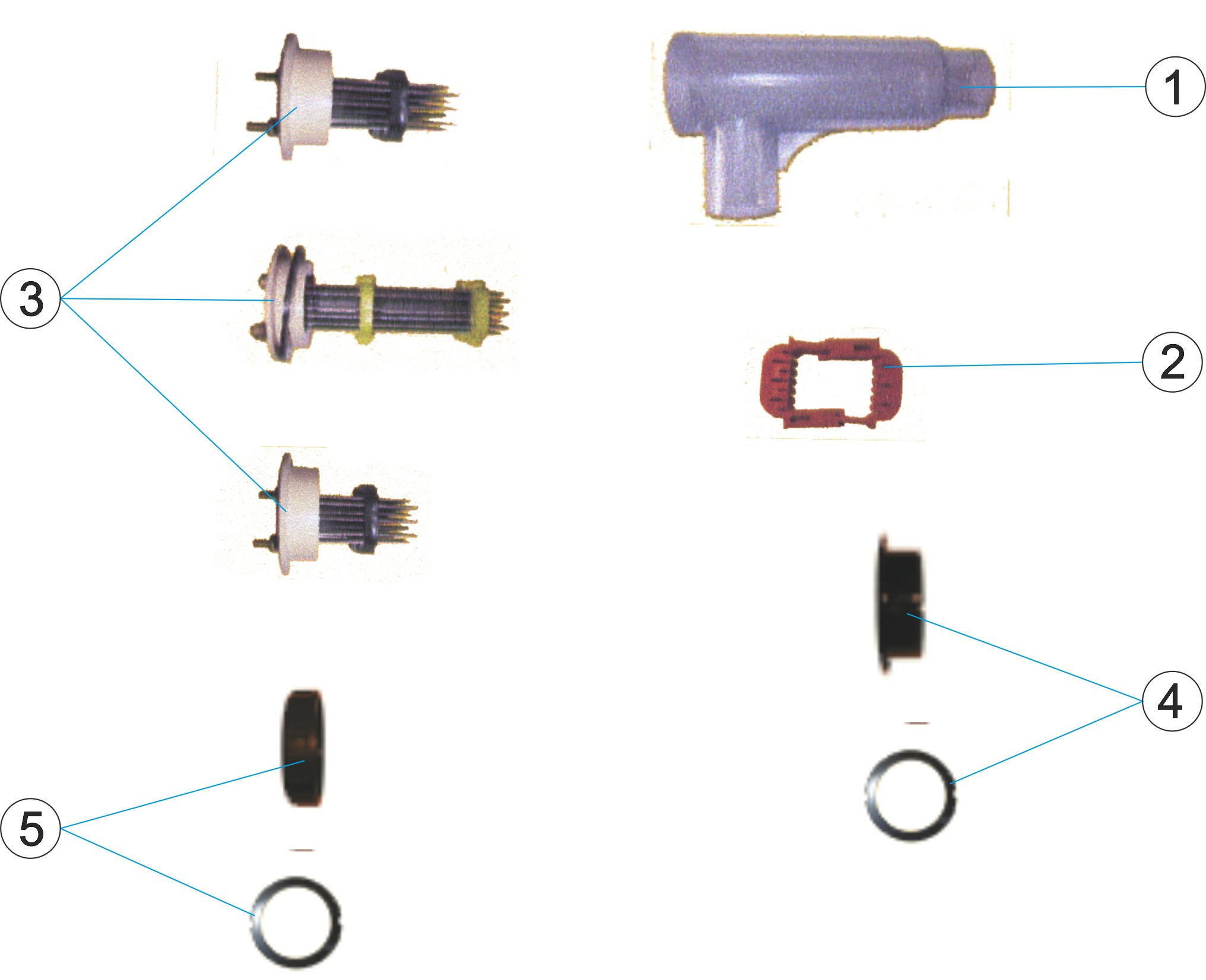 ELECTROLISIS SEL BASIC