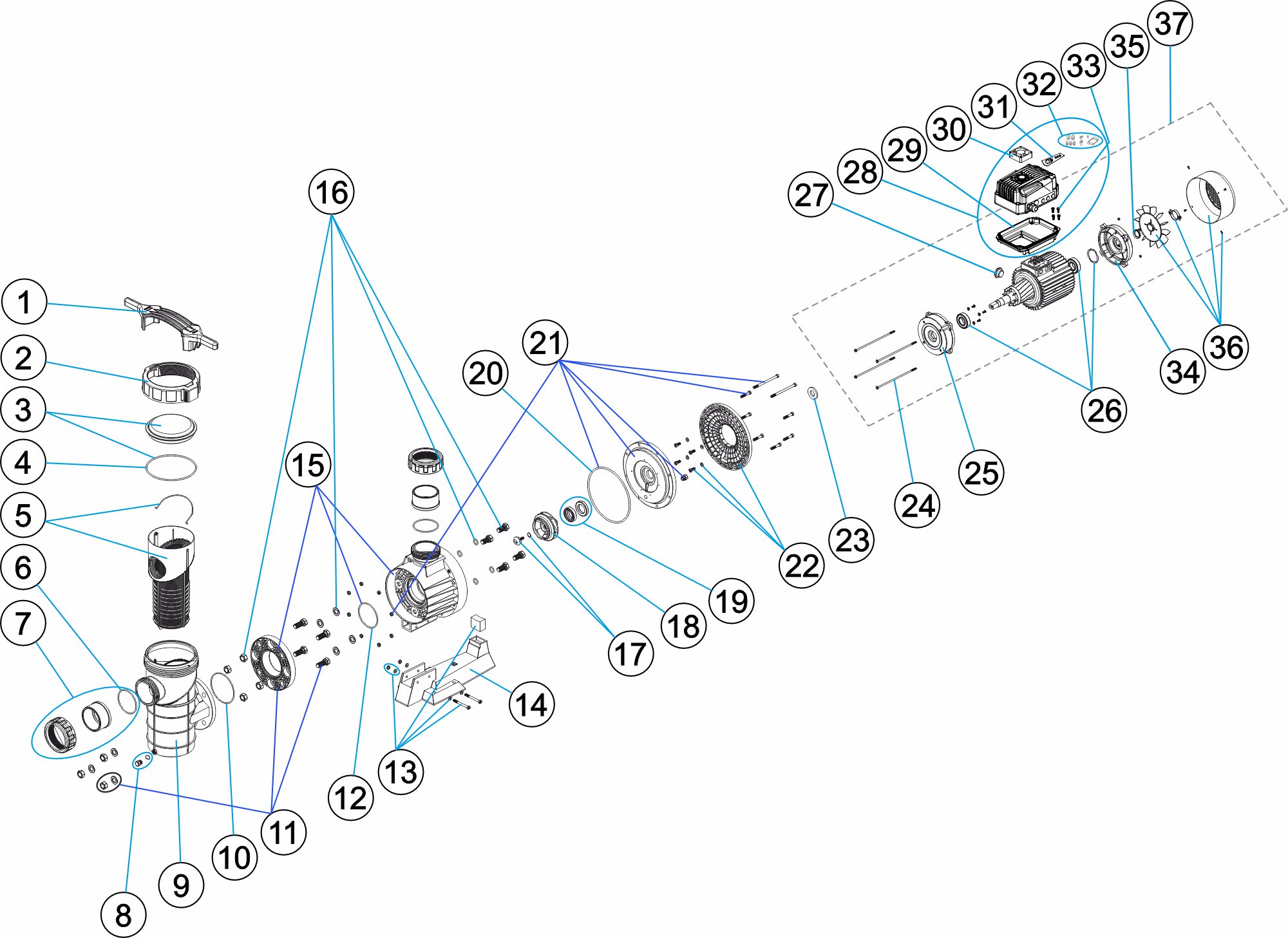 BOMBA MAXIM VS 4,5 CV